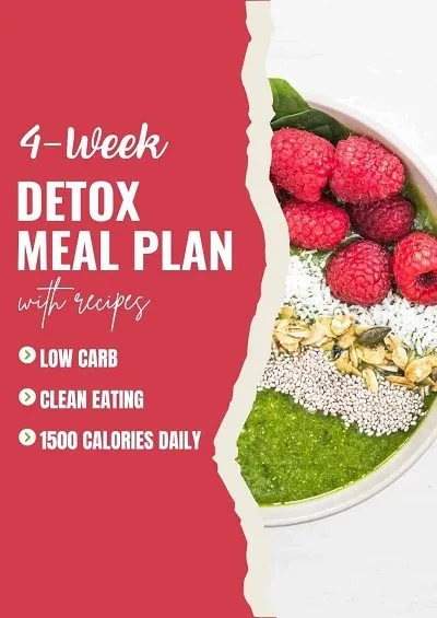 Program Menu Diet 4 Minggu